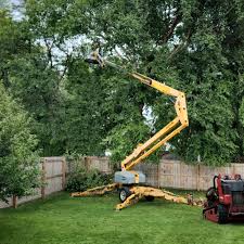 Best Palm Tree Trimming  in Plymouth, CA