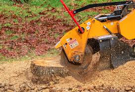 Best Tree Mulching  in Plymouth, CA