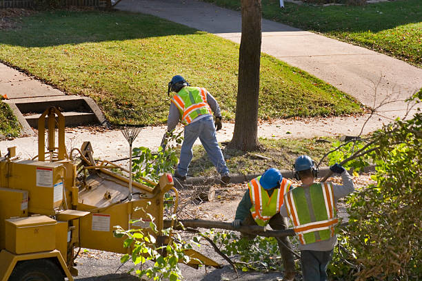Best Lawn Maintenance Plans  in Plymouth, CA